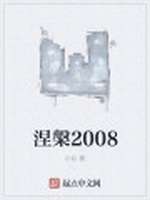 《涅槃2008》小说封面