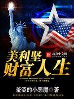 《美利坚财富人生》小说封面